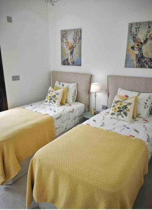 Bahia Homes Τορεβιέχα Εξωτερικό φωτογραφία